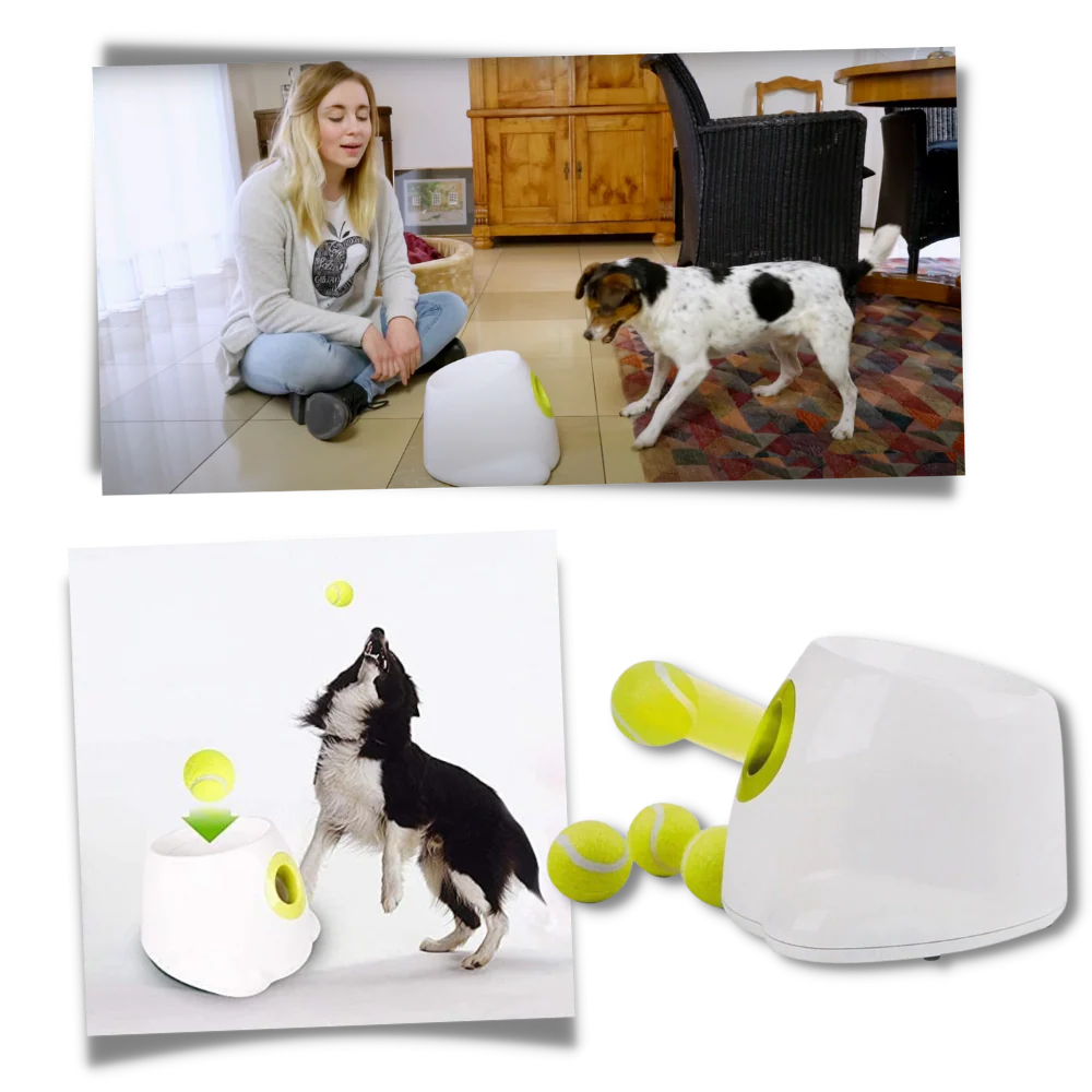 Automatic Dog Ball Launcher