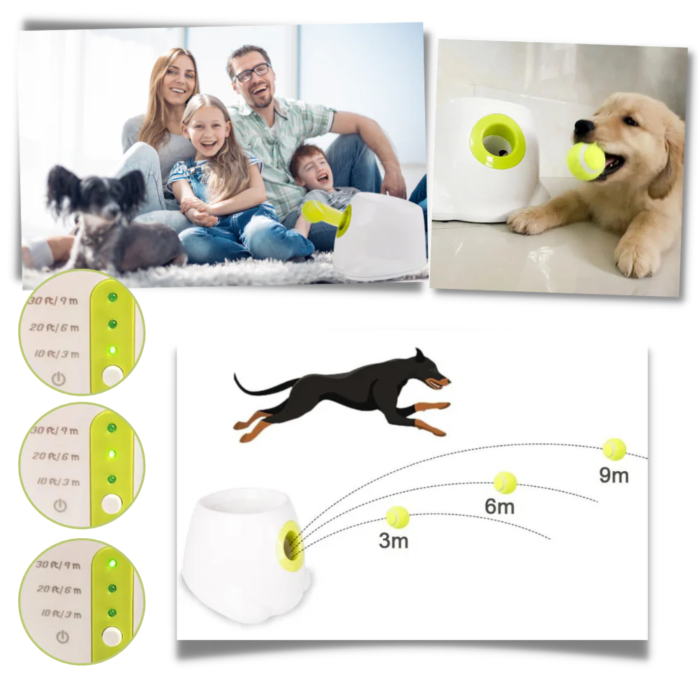 Automatic Dog Ball Launcher