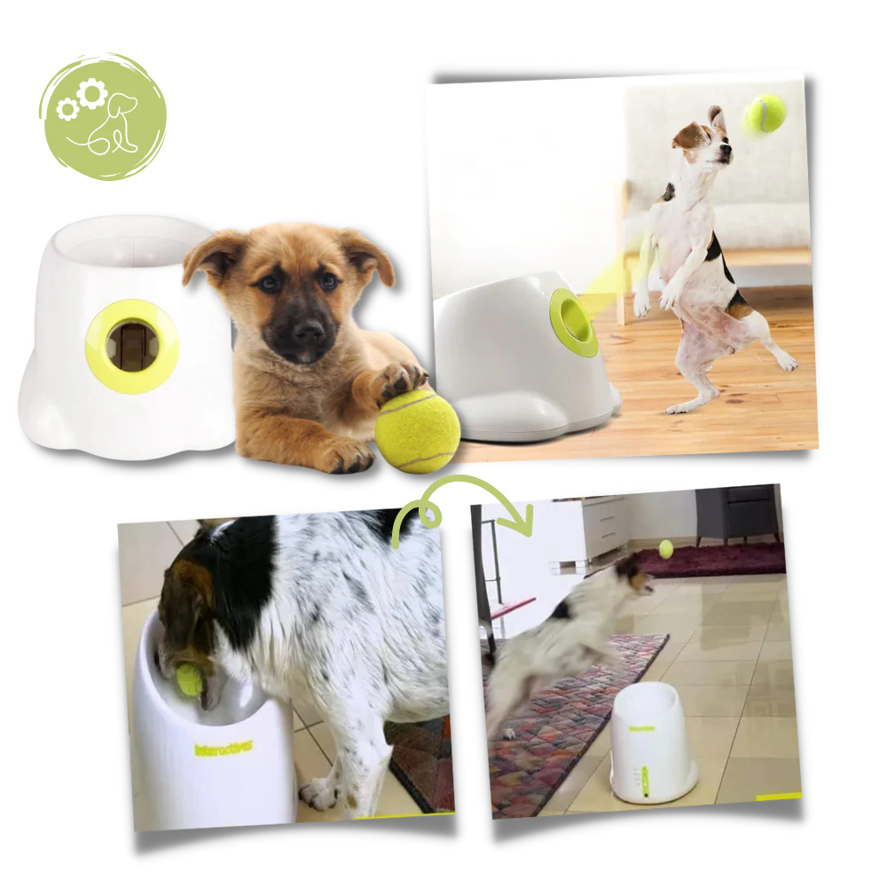 Automatic Dog Ball Launcher