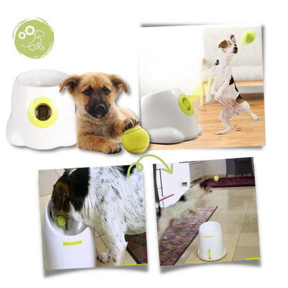 Automatic Dog Ball Launcher