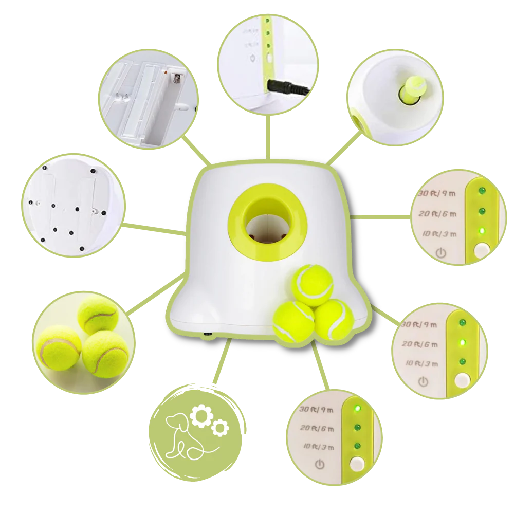 Automatic Dog Ball Launcher